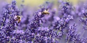 Народные приметы на 26 июля 2021 года: что нельзя делать в этот день