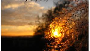 Народные приметы на 25 июня 2021 года: что нельзя делать в этот день