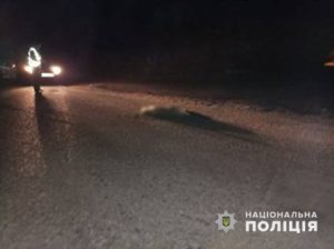 У Лимані через наїзд на собаку постраждав водій мотоциклу та його пасажир