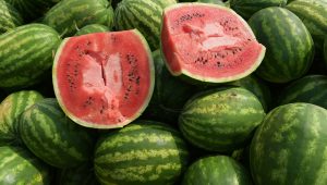 Чи потрібно їсти менше кавунів через вміст нітратів?  