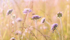 26 августа: какой сегодня праздник, приметы и запреты