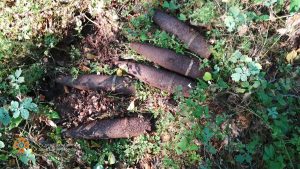 В лісовому масиві с. Богородичне знайшли артилерійські снаряди часів ІІ Світової війни