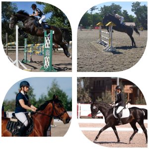 Вхід вільний: на базі “Аллюр” пройде Відкритий Кубок Донецької області з кінного спорту