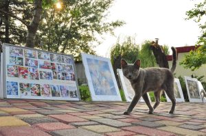 У Слов’янську запрошують бажаючих до участі у ярмарку ініціатив