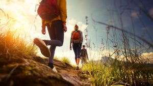 Туристы Донетчины оставили в бюджете области один миллион