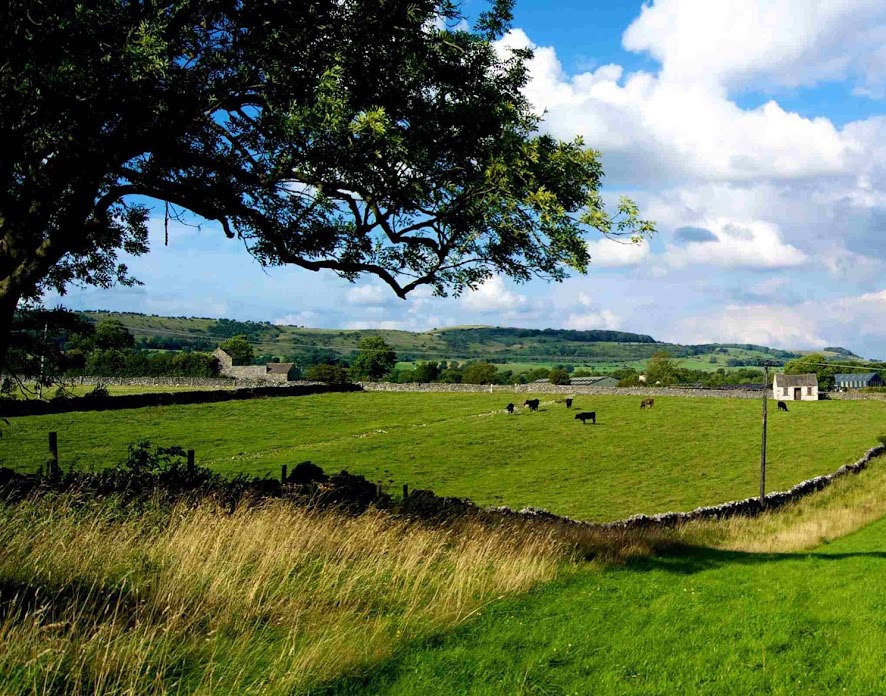 Специалисты объяснили, при каком условии украинцев могут лишить земли