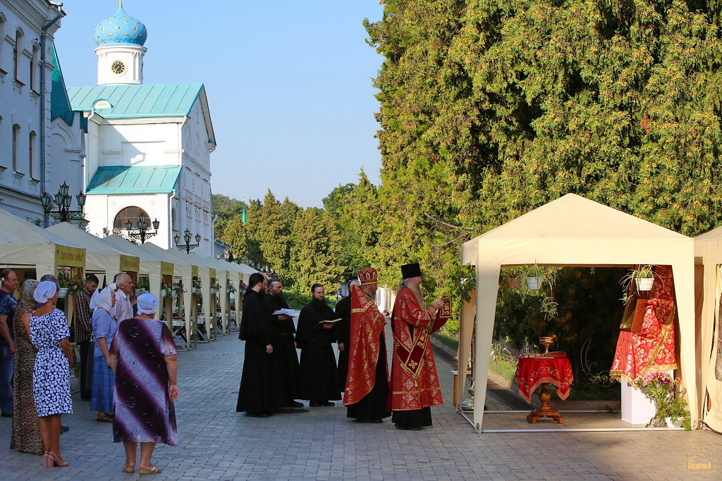 51360330116 9e1eb8eb09 b