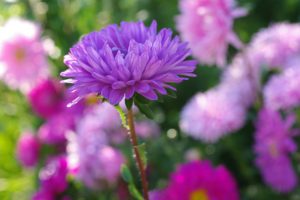 Праздники и приметы на 8 августа: что нельзя делать в этот день