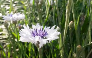 Приметы и праздники 6 августа: что нельзя делать в этот день