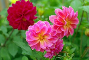 11 августа: какой сегодня праздник, приметы и запреты