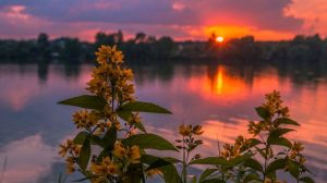 Гороскоп на неделю с 9 по 15 августа для всех знаков зодиака