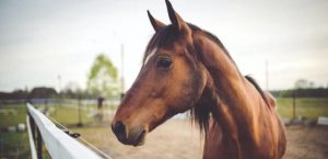 31 августа: праздник, что нельзя делать, приметы и именинники