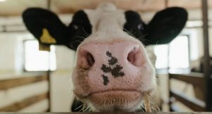 22 августа: праздник, народные приметы и именинники