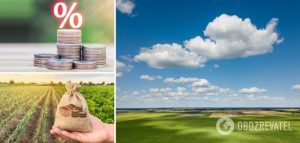Украинцы могут заработать на земле: где лучше покупать участки и как будут расти цены