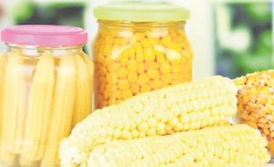 Что приготовить с молодой кукурузой: топ-10 необычных рецептов