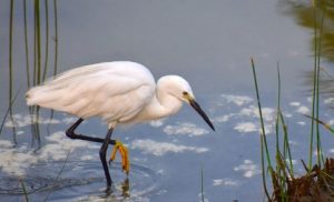 27 августа: праздник, что нельзя делать, приметы и именинники