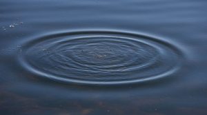 Донецька область: рятувальники витягли тіло потонулої людини