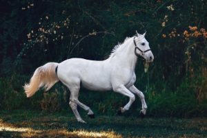 15 августа: праздники, что нельзя делать, приметы и именинники