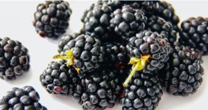 30 августа: праздник, приметы на День Мирона и именинники