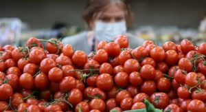 Узбекские ученые создали помидор-вакцину от COVID-19
