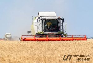 В Украине ожидается рекордный урожай пшеницы