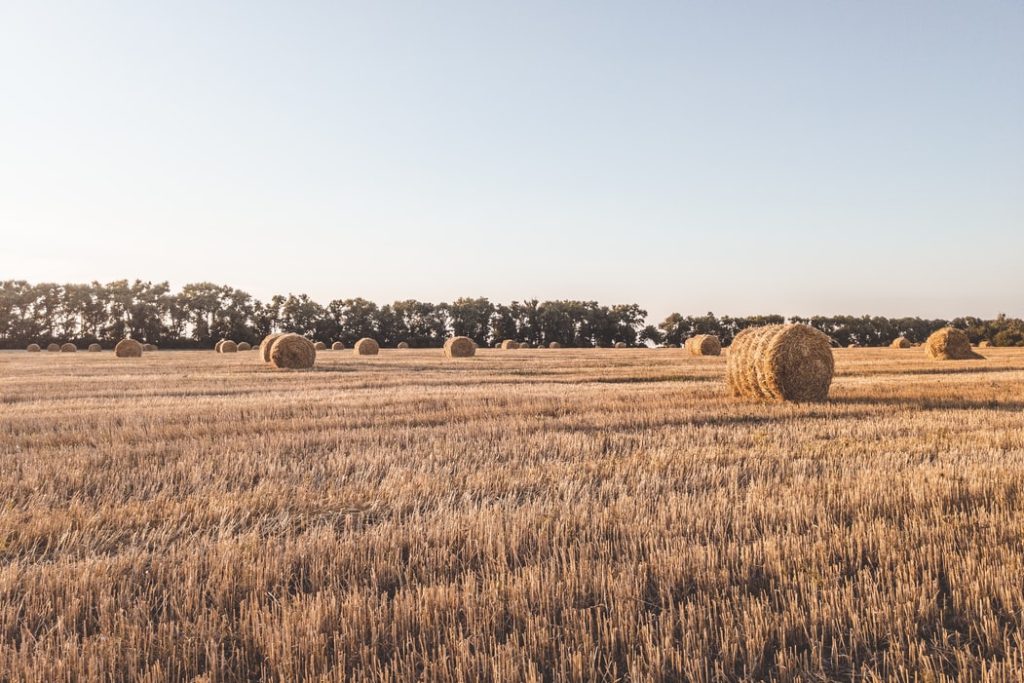 Рынок земли: количество сделок перевалило за 5,5 тысяч