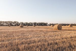 Рынок земли: количество сделок перевалило за 5,5 тысяч