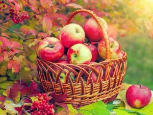 Яблочный Спас: что можно и что нельзя делать в этот день