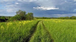 4 августа: народный праздник сегодня, что можно и нельзя делать