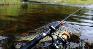 Ранее судимому жителю Славянска грозит криминальная ответственность за кражу рыбы из частного пруда