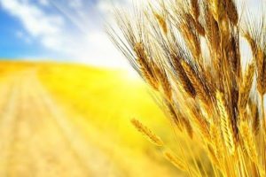 Як Краматорськ буде святкувати День Незалежності України: розклад заходів