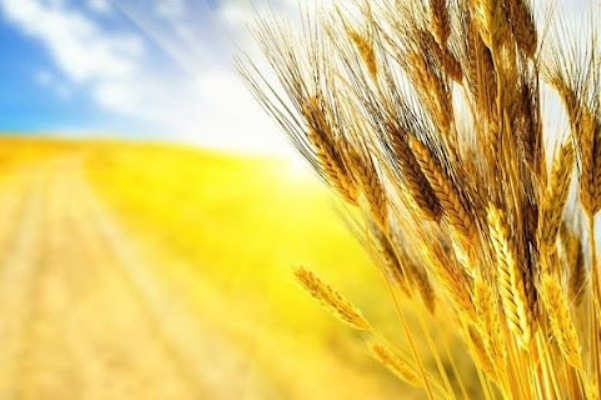 Як Краматорськ буде святкувати День Незалежності України: розклад заходів