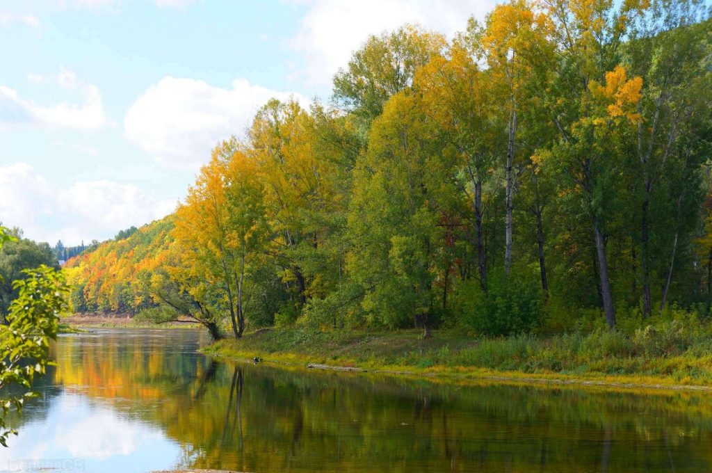 Какой будет погода на выходных
