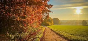 10 сентября: праздники, приметы и именинники