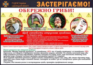 Обережно, гриби. ДСНС попереджає