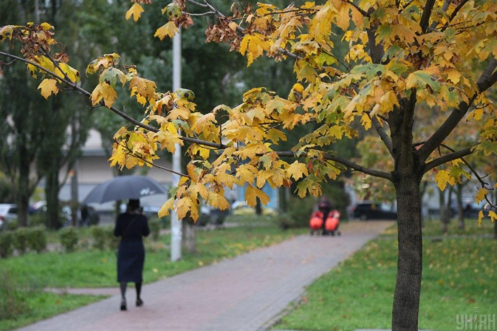 Иммунолог: осень 2021 года будет для Украины тяжелее, чем предыдущие волны COVID-19