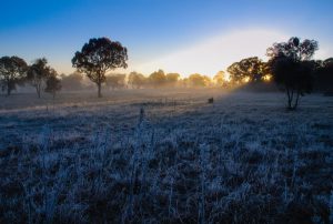 Народный синоптик предупредил часть Украины о заморозках: названа дата