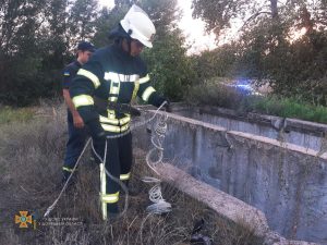 м. Лиман: надзвичайники врятували пса, який впав у 7-метрову яму