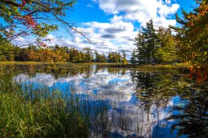 “Бабье лето” приближается: синоптики дали прогноз до конца недели