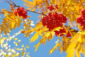 9 сентября: народный праздник и традиции, приметы погоды