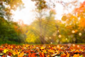 29 сентября: какой праздник сегодня, что нельзя делать, приметы и именинники