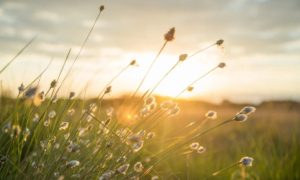 14 сентября: какой праздник отмечается, приметы и именинники