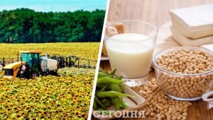 Украинцев ждет очередное подорожание: на что выросли цены