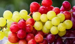 Виноград не всем полезен: кому стоит отказаться – рассказывает диетолог Наталья Самойленко. Эксклюзив