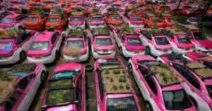 Обанкротившиеся таксисты в Бангкоке разбили огород на крышах машин