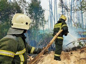 В течение прошлой недели подразделения ДСНС Украины спасли 38 человек и ликвидировали 900 пожаров