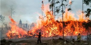 Увага! Попередження про пожежну небезпеку на Донеччині!