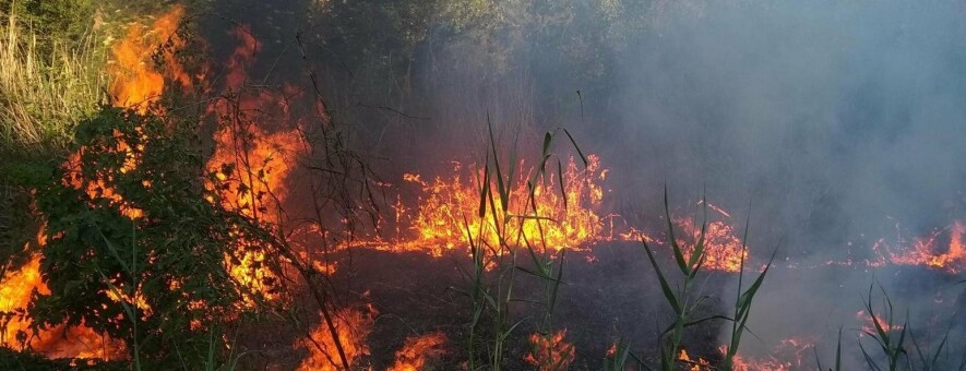 Внимание! Предупреждение о пожарной опасности в Донецкой области!