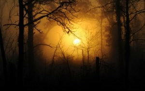 День осеннего равноденствия 2021: почему эта дата особенная и какие есть запреты