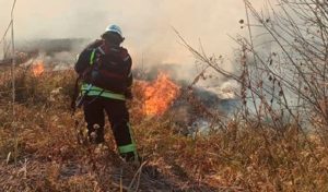 В Краматорском районе среди пожара искали упавшее воздушное судно